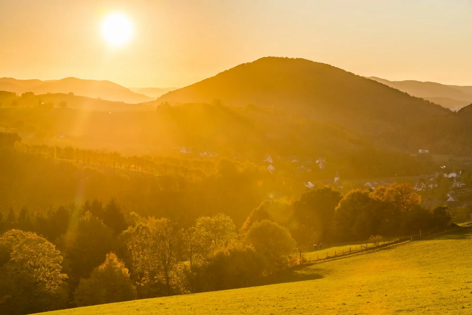 Goldener Herbst - Sonnenuntergang